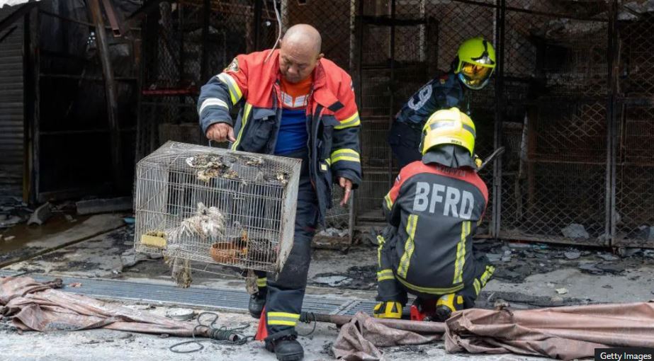 Zjarr në tregun e famshëm të Bangkokut, ngrodhin rreth 1 mijë kafshë
