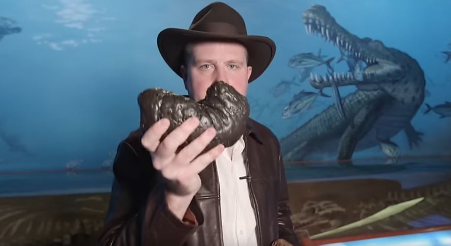 Koleksioni më i madh në botë i jashtëqitjeve të dinozaurëve bëhet 'Poozeum' i Arizonës (VIDEO)