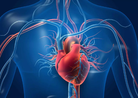 Fibrilacioni atrial rrit me 68% rrezikun e demencës, dyfishon mundësitë edhe për sulm në tru