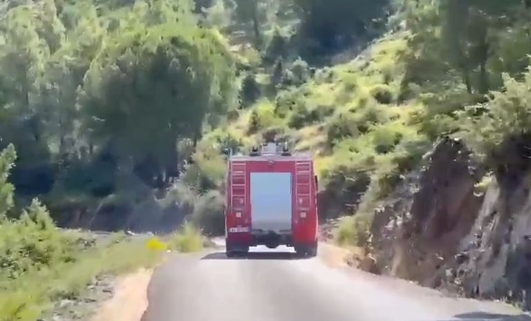 Zjarr i qëllimshëm në Berat, shpëtohet kurora me pisha