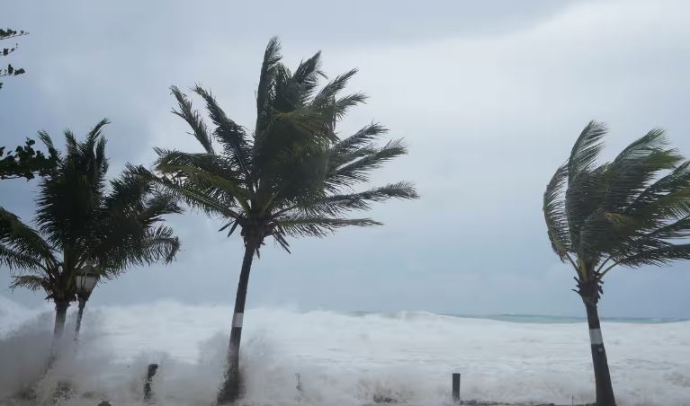 Valët godasin palmat teksa uragani Beryl kalon nëpër Hastings, Barbados, të hënën. Foto: AP