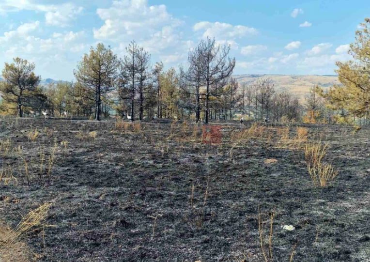 12 zjarre aktive në territorin e Maqedonisë së Veriut