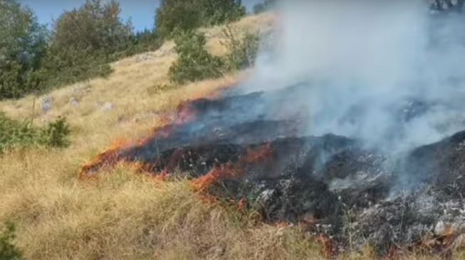 Shqipëria dhe Maqedonia e Veriut në hall nga zjarret, ka 4 ditë që nuk janë shuar flakët në Malin e Thatë