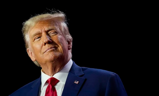 Dalin projektimet e para, Trumpi fiton Floridën