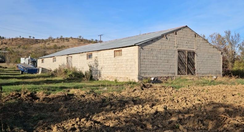 Zbulohet magazina me kanabis në Korçë, në pranga gjashtë persona – përfshirë dhe gra