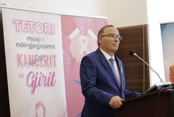 Kandidati për kryeministër, Bedri Hamza
