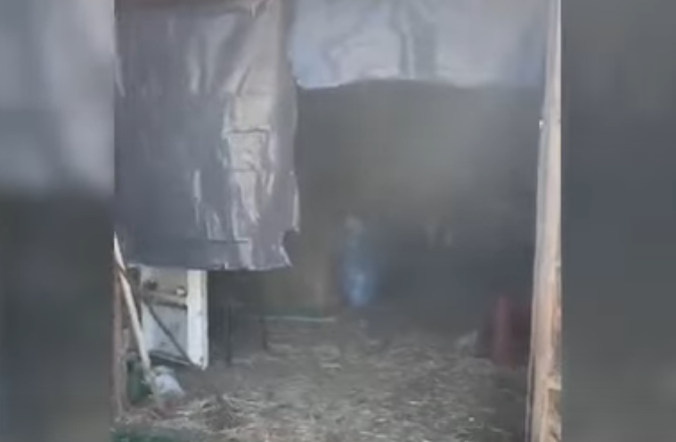 Zbulohet magazina me drogë në Korçë, 4 të arrestuar e 1 në kërkim, hetim edhe për 3 gra