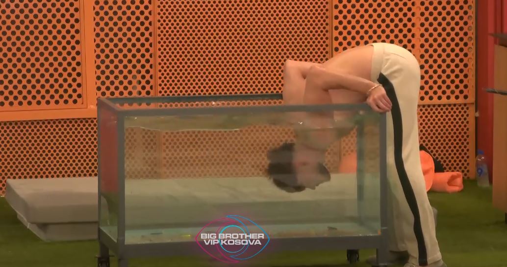Sfida e buxhetit, banorët duhet të kapin peshqit në akuarium