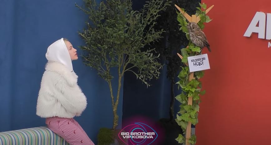 Huti nga ArtMotion - Sara tregon sekretin e saj (VIDEO)
