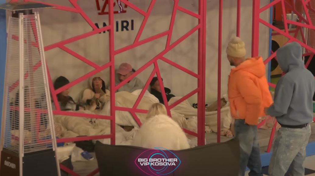 Gjesti ngacmon banorët brenda kafazit (VIDEO)