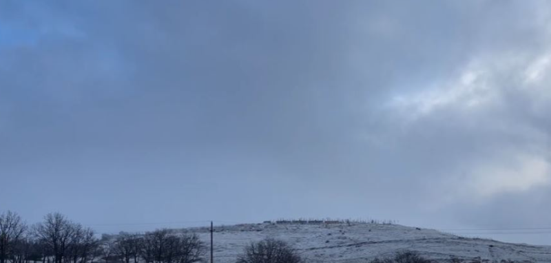Korça mbulohet nga bora