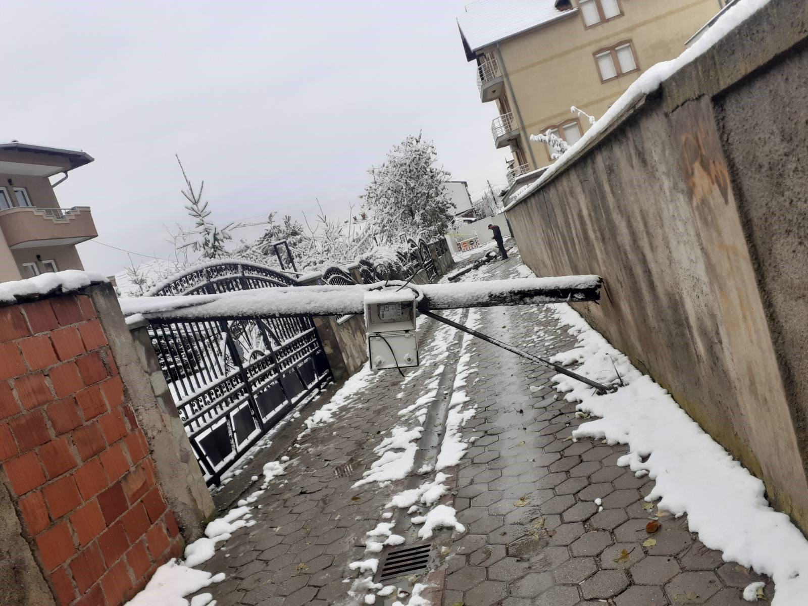 Bie shtylla gjatë natës, banorët mbesin pa rrymë (FOTO)
