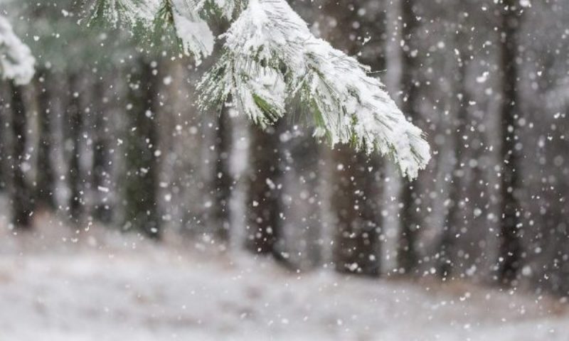 ​Sot shënohet Dita Ndërkombëtare e Maleve