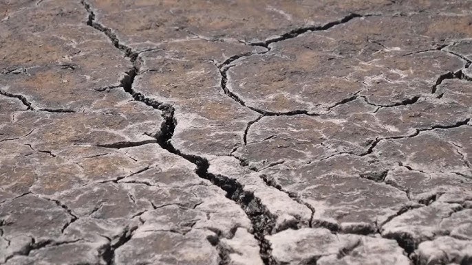 Ndryshimet klimatike shtuan 41 ditë nxehtësi të rrezikshme në botë sivjet
