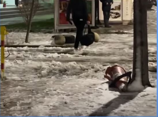 Bora mbulon zonat bregdetare pas shumë vitesh (VIDEO)