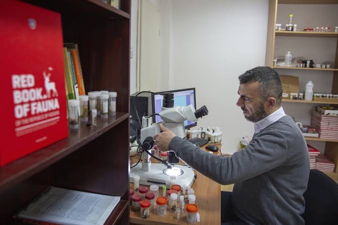 Profesori i UP-së zbulon edhe një insekt, e emërton Tinodes Lumbardhi