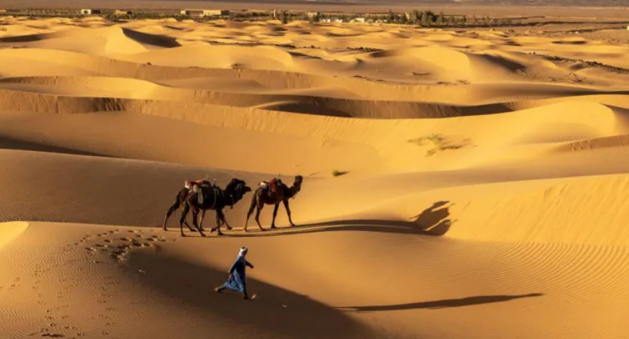 Rrëmbehet një austriake nga sulmues të panjohur në Niger
