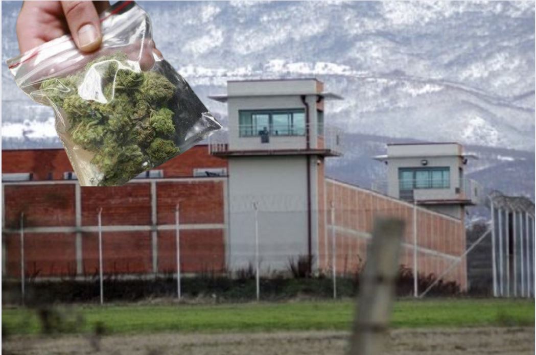 Policia i gjen në një gyp tetë paketime marihuanë në Qendrën Korrektuese të Dubravës