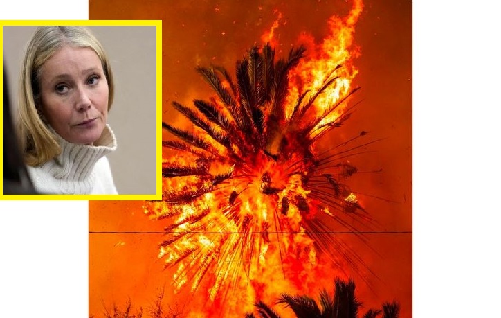 Paltrow e pikëlluar për miqtë e saj në Los Angeles