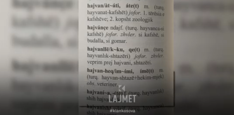 Gjuha e Kurtit: ''Hajvan'' e ''hajvanat'' ofendim për njerëzit (VIDEO)