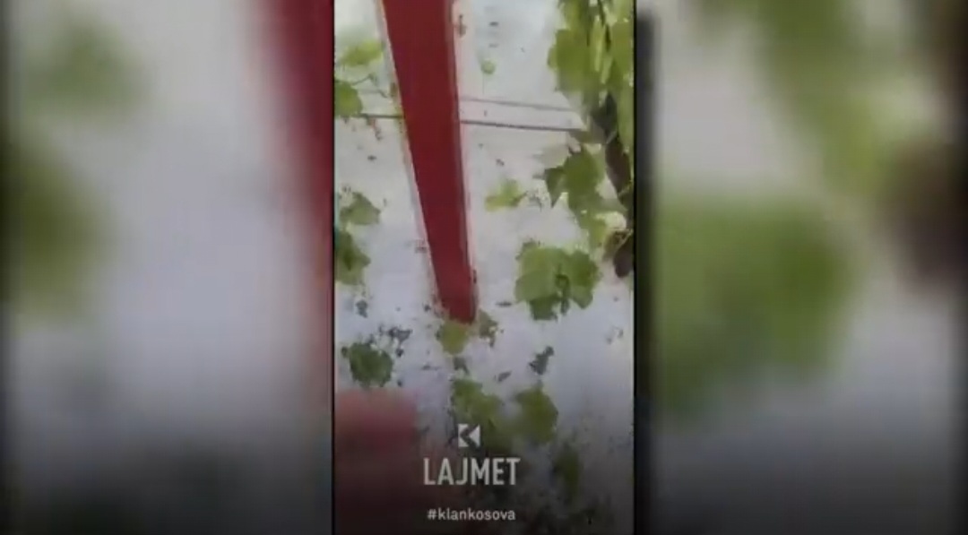 Ankesa e fermerit, dy vjet pritje për kompensim të dëmit (VIDEO)