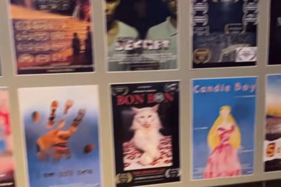 Festival i filmit në Arizona thyen rekordin Guinness për pjesën e posterëve të filmit