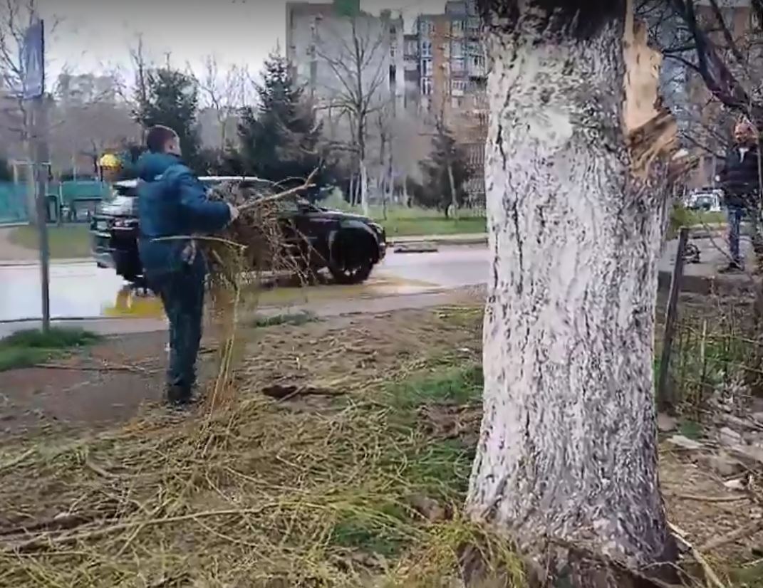 Pamje nga pastrimi i vendit