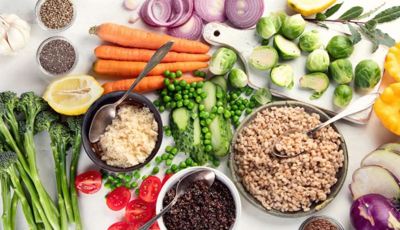 Cilat janë përfitimet e të qenit vegjetarian?