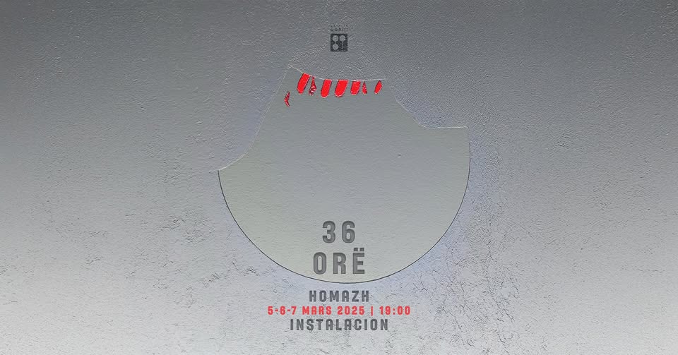 “36 orë” instalacion në Galerinë Qahili