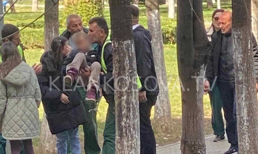 Qentë endacakë sulmojnë një fëmijë në Parkun e Dardanisë