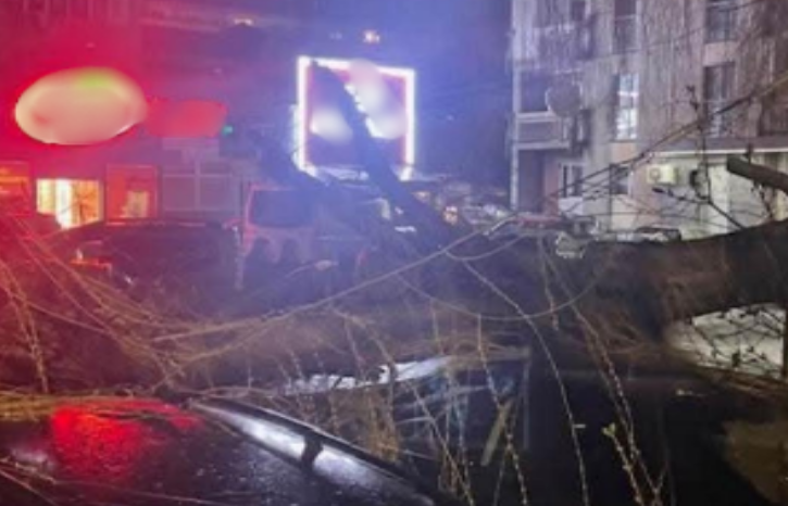 Bie lisi në Dardani, katër vetura të dëmtuara (FOTO)