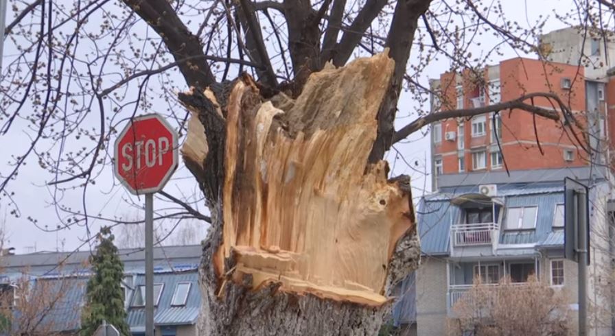 Katër makina ia shohin sherrin drurit të ligë në Prishtinë (VIDEO)