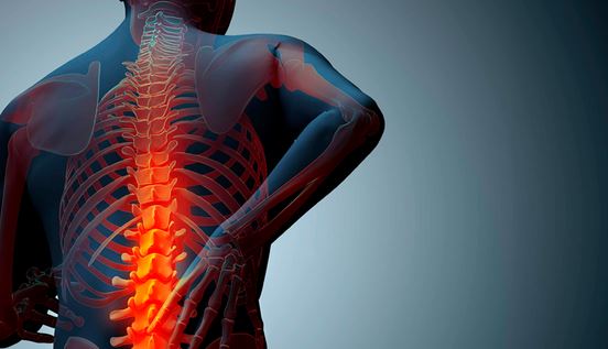 Ushqimet që forcojnë kockat dhe parandalojnë osteoporozën