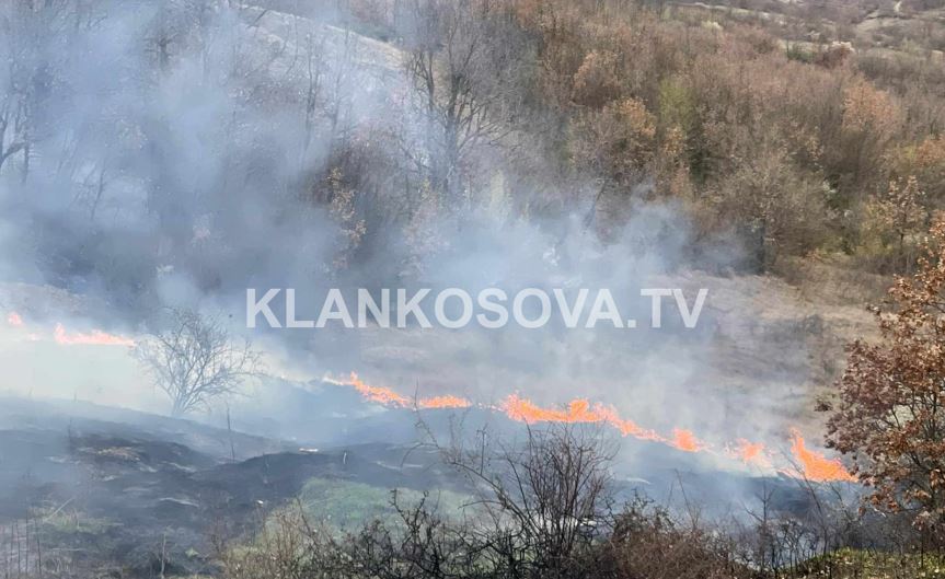 Përhapet zjarr i fuqishëm në fushat e Gajrakut në Malishevë (VIDEO)