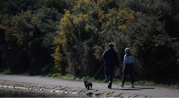 Ky është numri minimal i hapave të rekomanduara nga ekspertët për një jetë të shëndetshme
