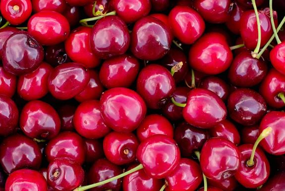 Këto janë përfitimet shëndetësore nga ngrënia e qershive