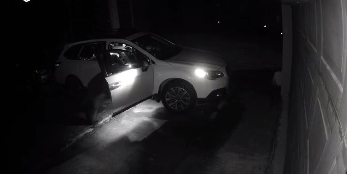Ariu hap derën e veturës dhe kërkon ushqim brenda (VIDEO)