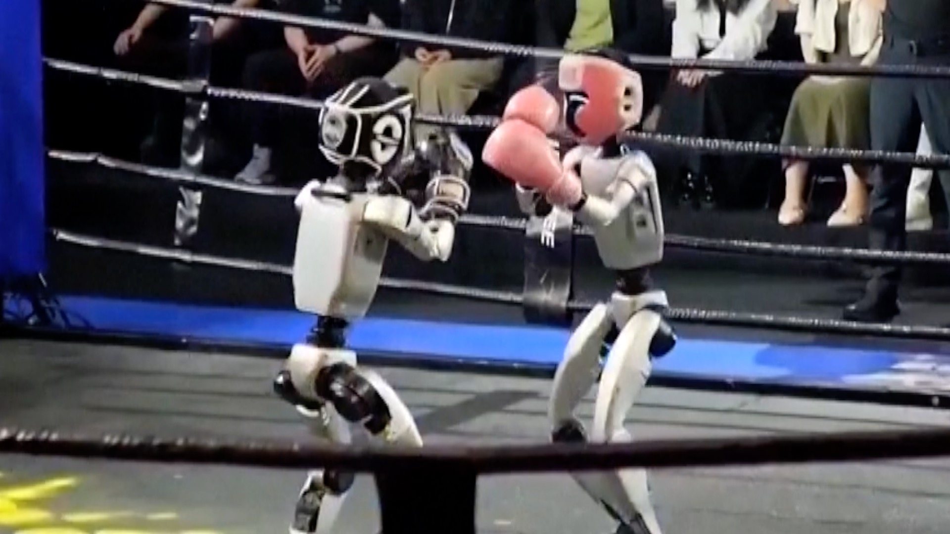 Robotët humanoidë ngjiten në ring, luftojnë në një garë kikboksi në Kinë (VIDEO)