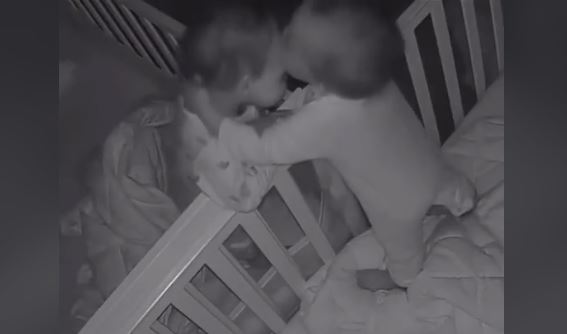 Nuk u panë gjatë tërë ditës, binjakët e vegjël çmallen me puthje dhe përqafime