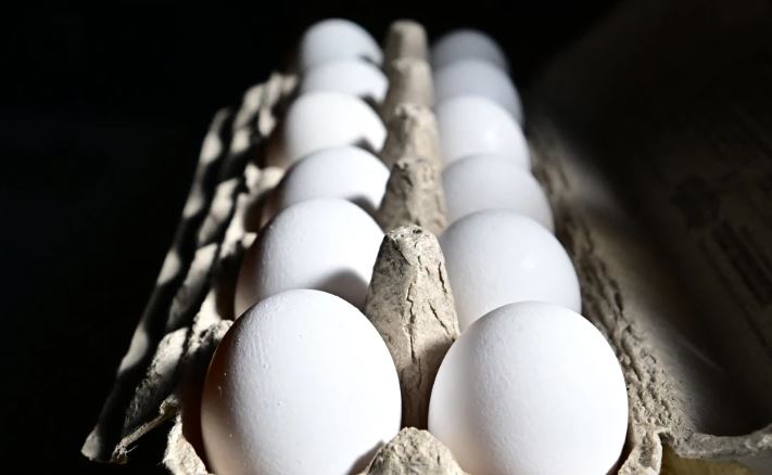 1.7 milion vezë tërhiqen nga tregu pas shpërthimit të salmonelës në SHBA