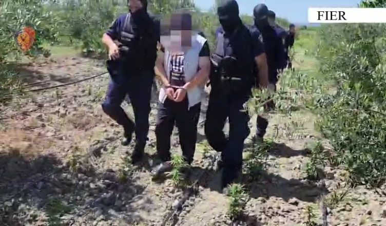Goditet grupi kriminal në Fier, katër të arrestuar - trafikonin armë edhe nga Kosova