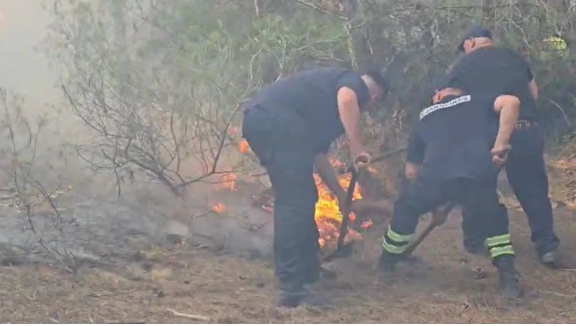 Zjarr në pyjet e Darzezës, zjarrfikësit në "luftë" me flakët për shuarjen e tyre