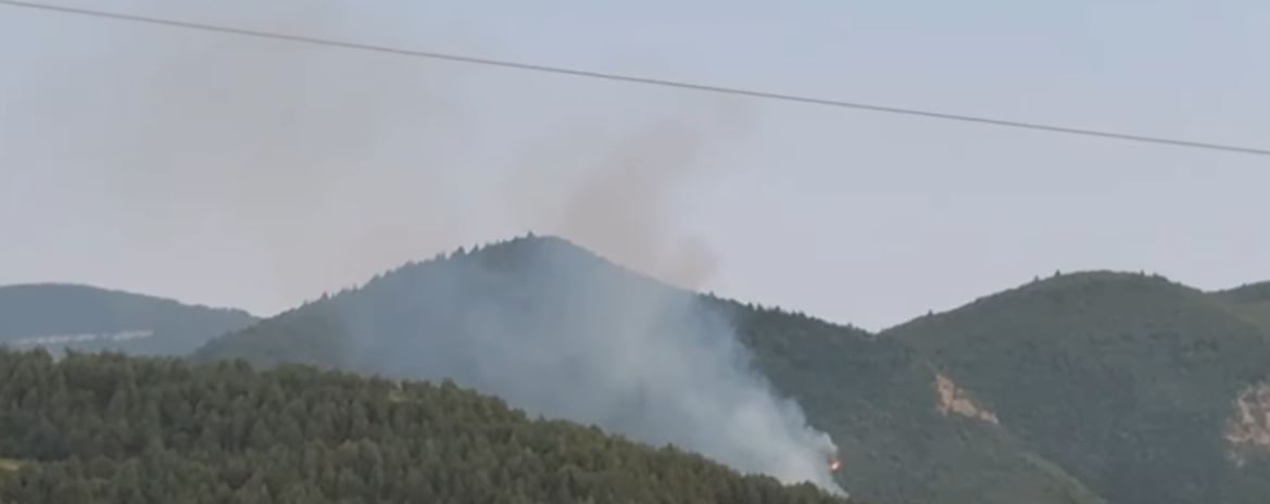 Zjarri përfshin malin e Moravës në Shqipëri, dyshohet i qëllimshëm - një person dërgohet në polici
