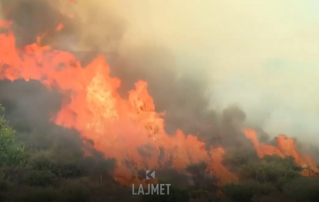 Vapa djeg Turqinë, shiu mbyt New Mexicon (VIDEO)