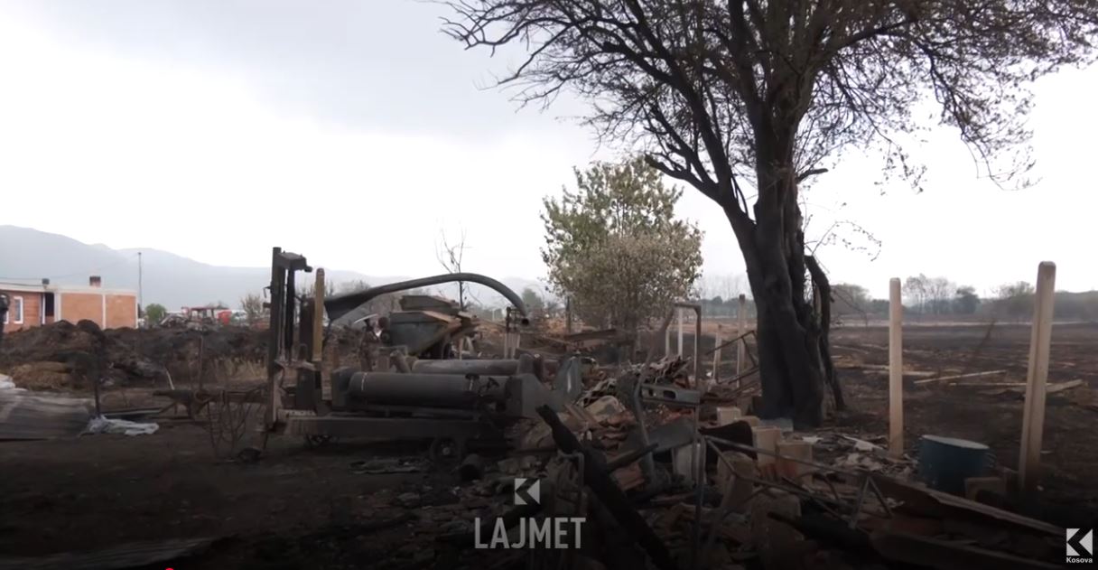 Zjarri në Gurakoc plagos një person dhe bën shkrumb stallat (VIDEO)