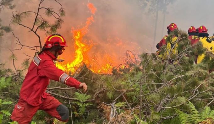 Shqipëria do t'i shpërblejë punonjësit që luftuan zjarret këtë vit