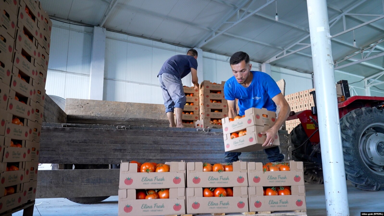 Perimet vendore shkojnë jashtë, tregu mbushet me import