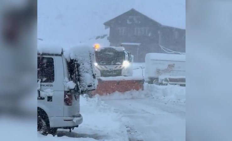 Bie bora e parë në Alpe
