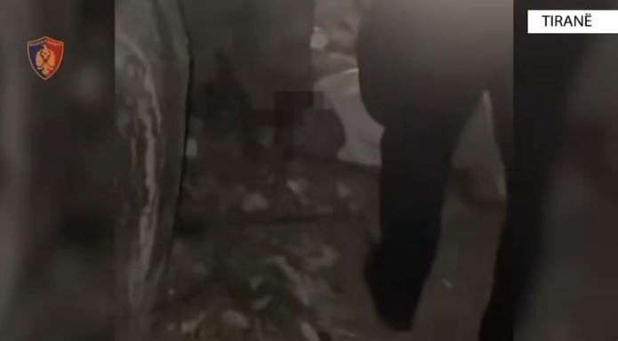 Sekuestrohen 9 kilogramë kanabis në Tiranë, në pranga pesë persona