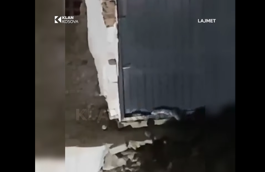 Ferizajasit ende në hall me brejtësit e shtuar (PAMJE)